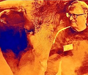 Bill Gates y las vacas. Ciencia contra la España del chuletón
