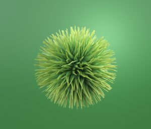 Conoce a los ganadores de los premios Retina ECO 2025